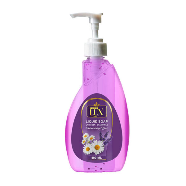 01 Liquid Hand Soap 400 ml