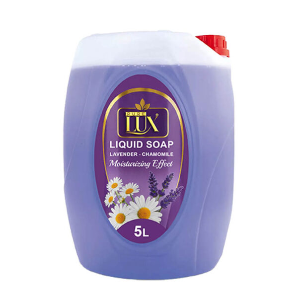 04 Liquid Hand Soap 5 L